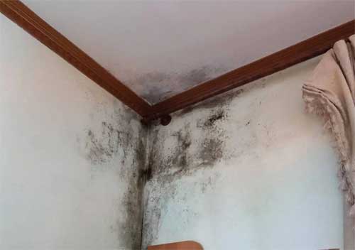 北京房屋漏水檢測維修